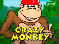 Zagraj w Crazy Monkey w kasynie VAVADA